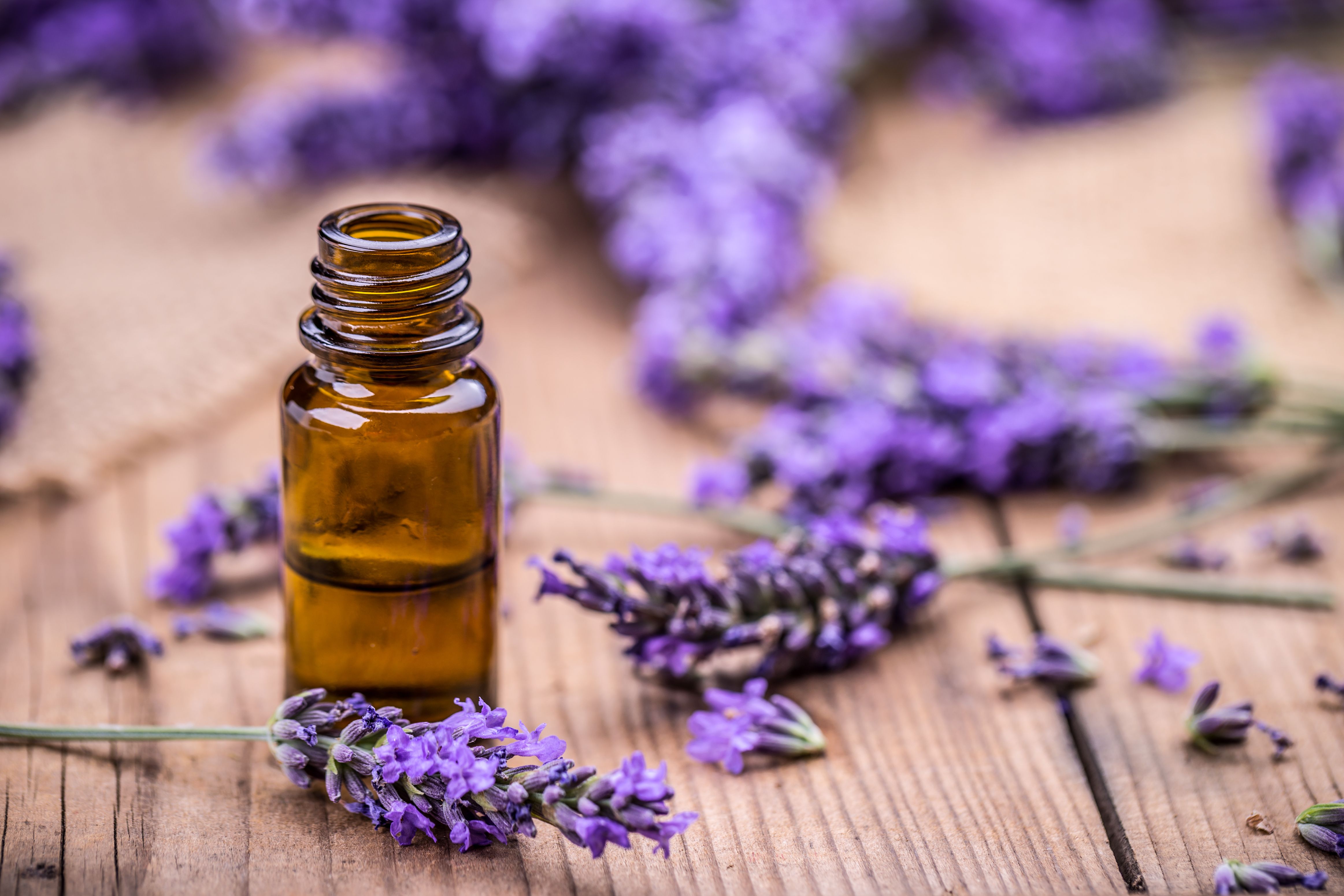 Óleo Essencial de Lavanda